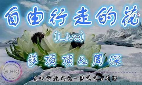 自由行走的花歌词伴奏谱-自由行走的花原唱是谁