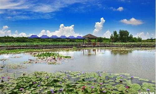南沙湿地公园有什么好玩的-南沙湿地公园有什么好吃的