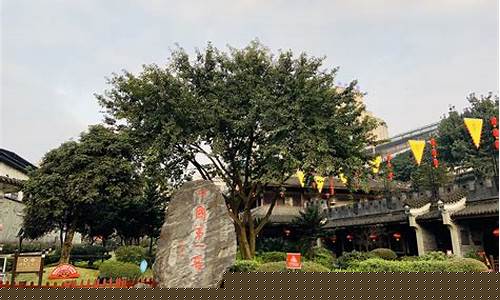 泸州旅游景点大全排名-泸州旅游景点门票