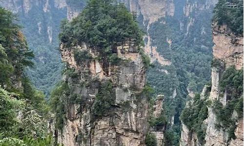 张家界带娃旅游攻略最新-张家界带娃旅游攻略最新消息