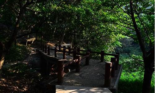 广卅龙头山森林公园交通行程-广州龙头山森林公园爬山多久