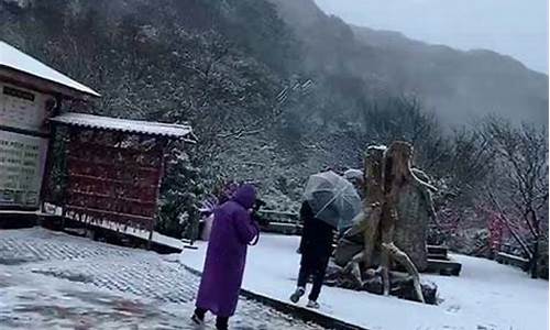 金佛山下雪了吗最近-金佛山下雪了吗