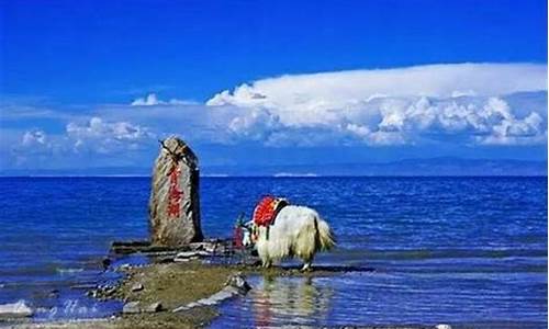 陕西到青海湖自驾游最佳路线-陕西到青海湖自驾旅游攻略费用