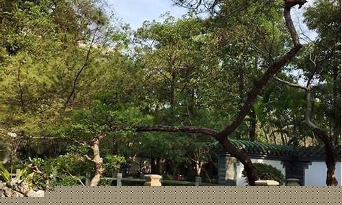 广州醉观公园可视化平台-广州市醉观公园