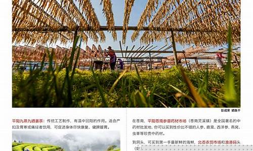 新疆自驾游马蜂窝-马蜂窝自由行旅游攻略新疆