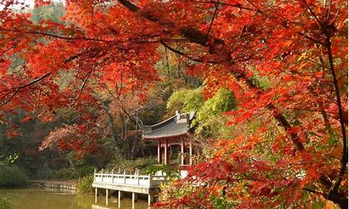 南京栖霞山旅游攻略-南京栖霞山风景区门票价格