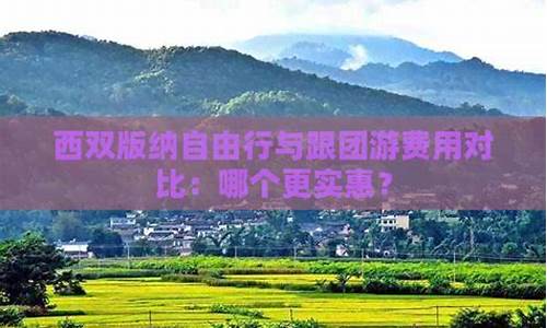 自由行与跟团游费用对比研究报告-自由行与跟团游费用对比研究