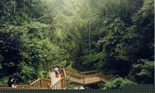 梅岭狮子峰景区-梅岭狮子峰游玩攻略