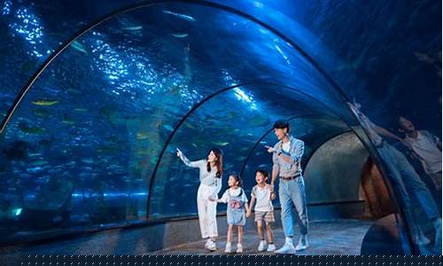 杭州极地海洋公园表演时间表-杭州极地海洋公园门票多少钱一张票