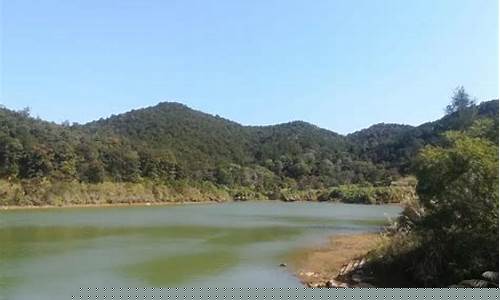 潮州红树林什么时候开盘-潮州红山森林公园酒店