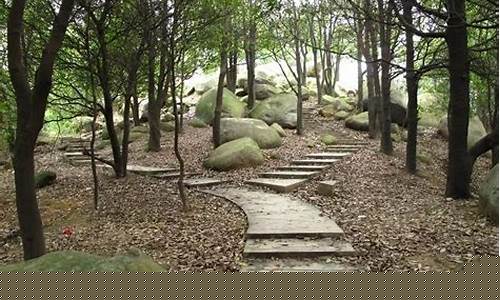 广州龙眼洞森林公园门票-广州龙眼洞森林公园