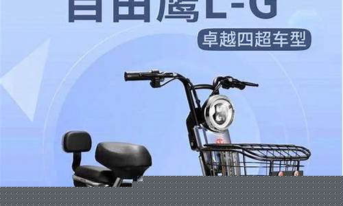 自由行是台铃旗下的品牌吗是真的吗-台铃自由速和自由鹏