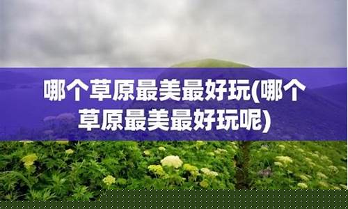 哪个草原最好看-哪个草原最美最好玩