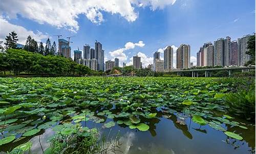 深圳洪湖公园人工湿地-苹果耳机能在安卓手机上弹窗吗