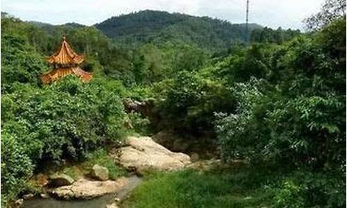大岭山石洞森林公园-大岭山石洞森林公园开放时间