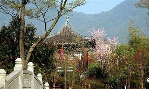 桃园旅游必去景点推荐-桃园好玩吗