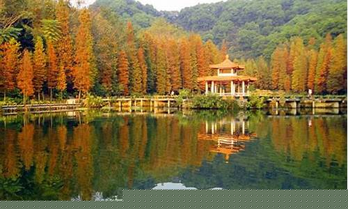 深圳旅游景点门票价格一览表2024年-深圳旅游景点门票