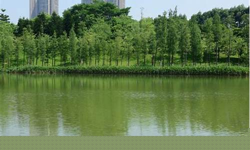 南海千灯湖公园绘画-佛山南海千灯湖公园导游图