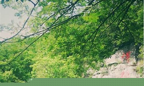 八公山森林公园的景点介绍图片-八公山森林公园的景点介绍