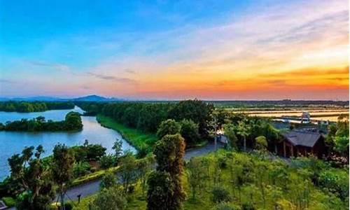 南沙湿地公园坐什么车-怎样去南沙湿地公园