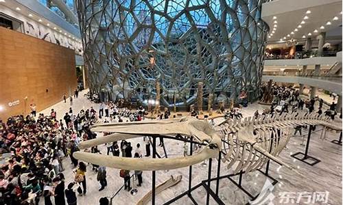 上海自然博物馆门票价格-上海自然博物馆旅游攻略