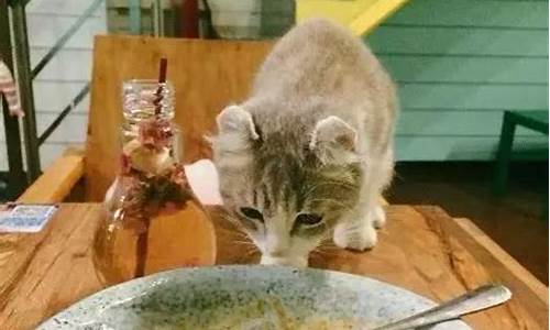kitty猫主题酒店-kitty猫主题餐厅
