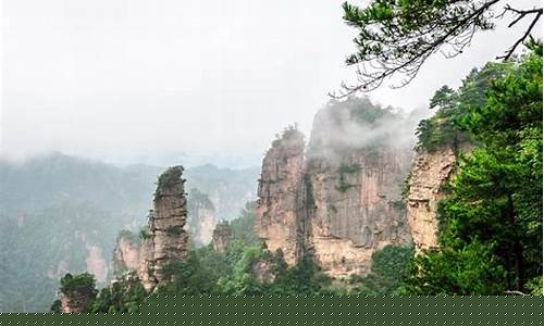 张家界旅游攻略,旅游须知-张家界攻略旅游攻略自由行游