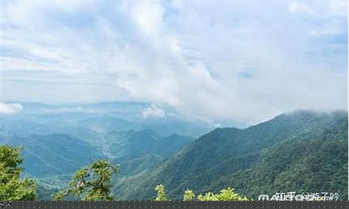 临安天目山图片大全-临安天目山旅游攻略自驾游