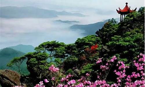 崇义阳明山的来历-崇义阳明山攻略详解