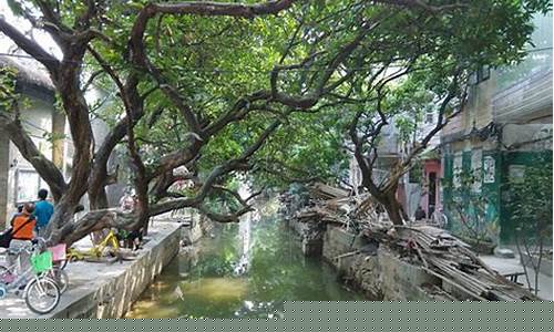 小洲村旅游攻略最新路线-小洲村在那里