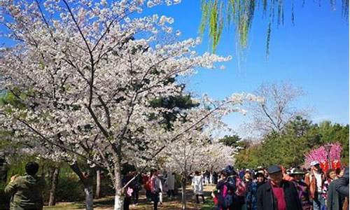 北京清明节旅游景点推荐-北京清明节旅游