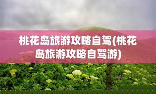 桃花岛自驾游线路-桃花岛自驾游攻略