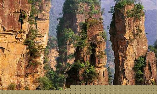 张家界旅游攻略自由行三天在哪里预约-张家界旅游攻略自由行三天在哪里