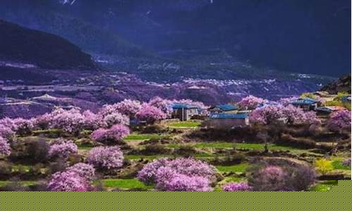 拉萨到林芝旅游攻略三日游价格-拉萨到林芝旅游攻略三日游