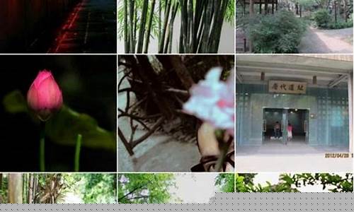 成都旅游2日游-成都旅游攻略二日游推荐理由