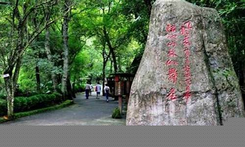 东肖森林公园-东肖森林公园免费景点