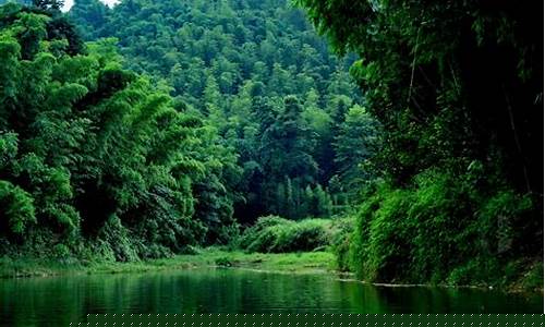 蜀南竹海哪些景点好耍-蜀南竹海值得去吗