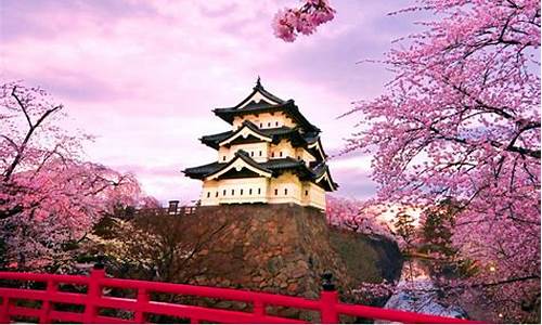 跟团去日本旅游多少钱-跟团去一趟日本旅游要多少钱
