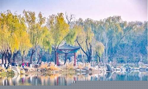龙潭西湖公园景观提升工程招标-龙潭西湖公园景观提升工程