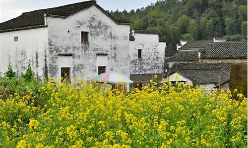 上海婺源自驾游攻略-上海到婺源三日游