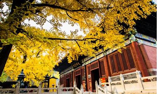 红螺寺门票预约-红螺寺门票预约时间