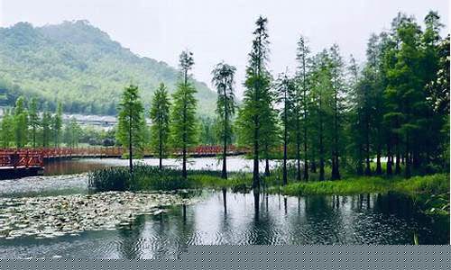 从化石门森林公园攻略-从化石门森林公园好玩吗