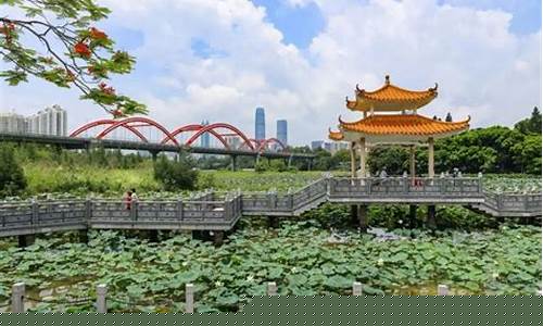 深圳洪湖公园在哪里-深圳洪湖公园