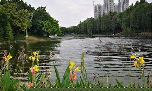 佛山石湾公园停车场怎么收费-佛山石湾公园